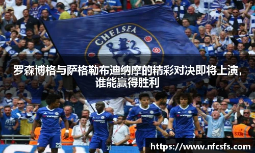 罗森博格与萨格勒布迪纳摩的精彩对决即将上演，谁能赢得胜利